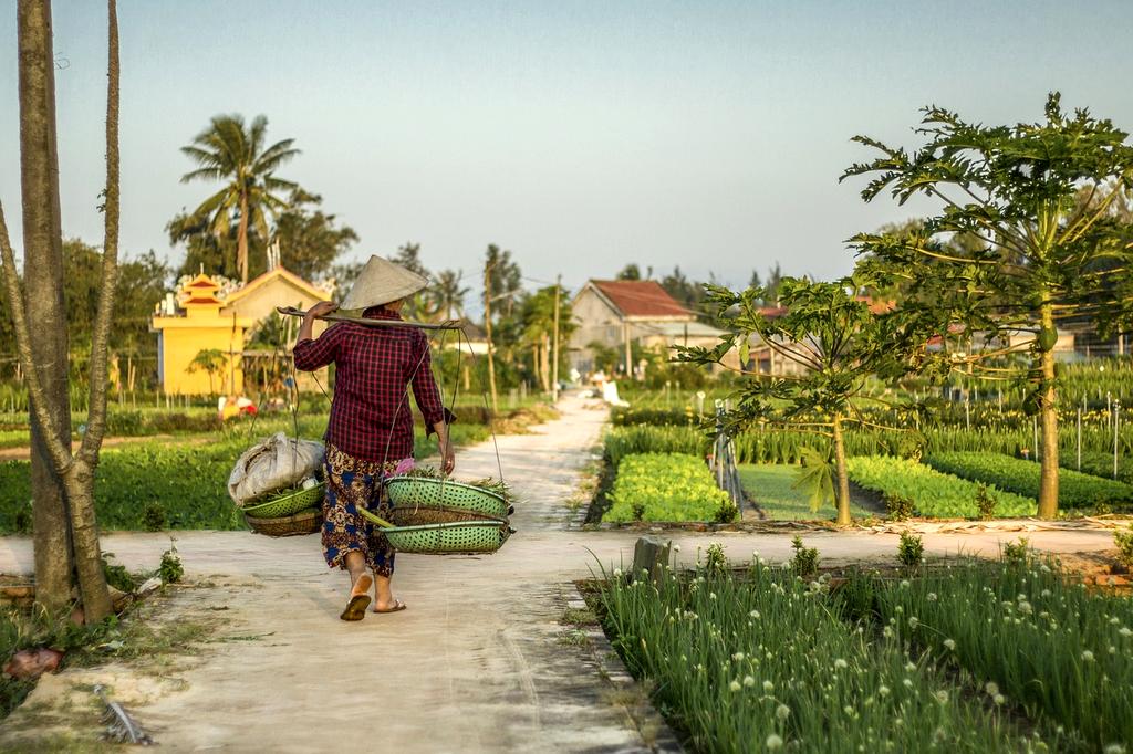 Quantum technology certification badge